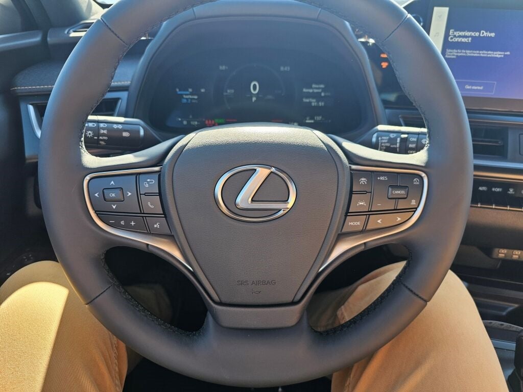 2025 Lexus UX 300h PREMIUM PREMIUM